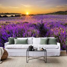 Lavender Field Sunset Wall Mural, Purple Scenery, Peel & Stick Wallpaper - thumbnail 3