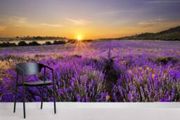 Lavender Field Sunset Wall Mural, Purple Scenery, Peel & Stick Wallpaper