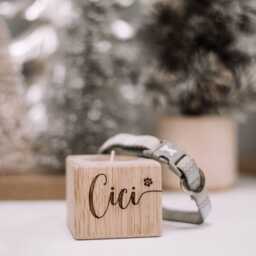 Pet Memorial Candle - Loss Of Dog - thumbnail 2