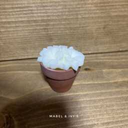 Flower Pot Candle Fragranced Soy Wax Sculpture in Terracotta - thumbnail 3
