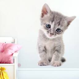 Little Cat Wall Decor, Kids Art, Nursery Wallpaper For Room, Childrens Decals, Animal - thumbnail 3