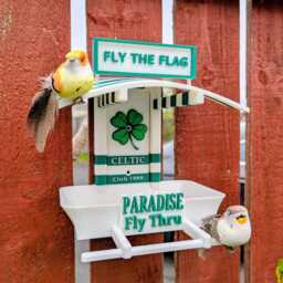 Celtic Garden Bird Feeding Station - Glasgow Decor & Wild Food Feeder Fly The Flag in Paradise Novelty Gift For Bhoys Fans - thumbnail 3