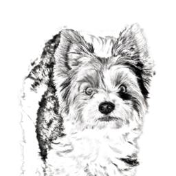 Biewer Terrier - Wooden Stand For Candles/Pens With The Image Of A Dog New Collection - thumbnail 2