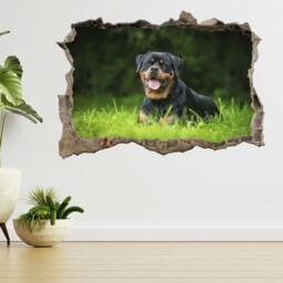 Rottweiler Dog Lying On The Grass 3D Smashed View Wall Sticker Poster Decal A906 - thumbnail 2