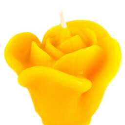 5 Beeswax Candles Rose Set Handmade Golden Yellow 100% Natural -Height cm -Diameter Approx. 6.5 -Burning Time 6H Per Candle - thumbnail 3