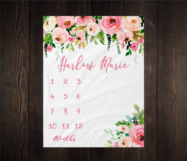 Girl Milestone Blanket Month Growth Tracker Minky Fleece Custom Personalized Baby Shower Gift Watercolor Floral Newborn - image 1