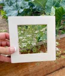 Handmade Off White Alder Wood 4x4 Picture Frame - thumbnail 1