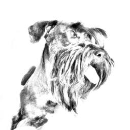 Cesky Terrier - Wooden Stand For Candles/Pens With The Image Of A Dog New Collection - thumbnail 2