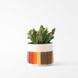 Small Natural Canvas Sitting Planter - Orange