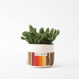 Small Natural Canvas Sitting Planter - Orange - thumbnail 2