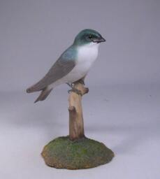 Tree Swallow Hand Carved & Painted Wooden Bird Carving - thumbnail 3