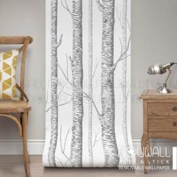 Birch Tree Forest Peel & Stick Removable Wallpaper Wall Decal Sticker - thumbnail 1