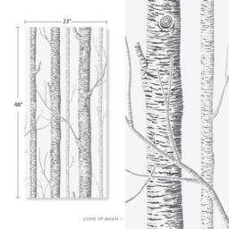Birch Tree Forest Peel & Stick Removable Wallpaper Wall Decal Sticker - thumbnail 4