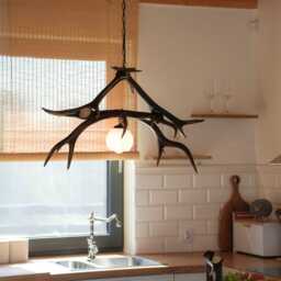 Real Antler Ceiling Light With Shade - thumbnail 4