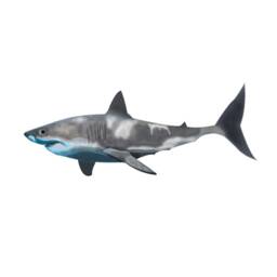 Shark Wall Decal - Great White Home Decor Mural Peel & Stick Jaws Room Made With Reusable Fabric Vwaq-Pa22Fb - thumbnail 2