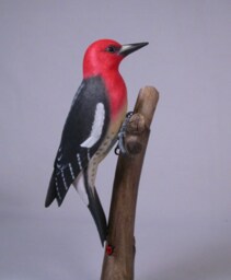 Red-Breasted Sapsucker Hand Carved Wooden Bird - thumbnail 3