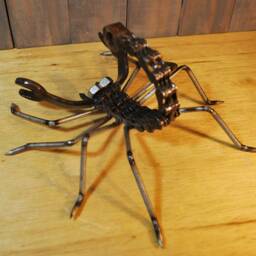 Scorpion - thumbnail 3