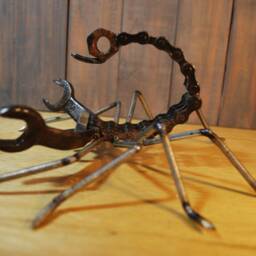Scorpion - thumbnail 4