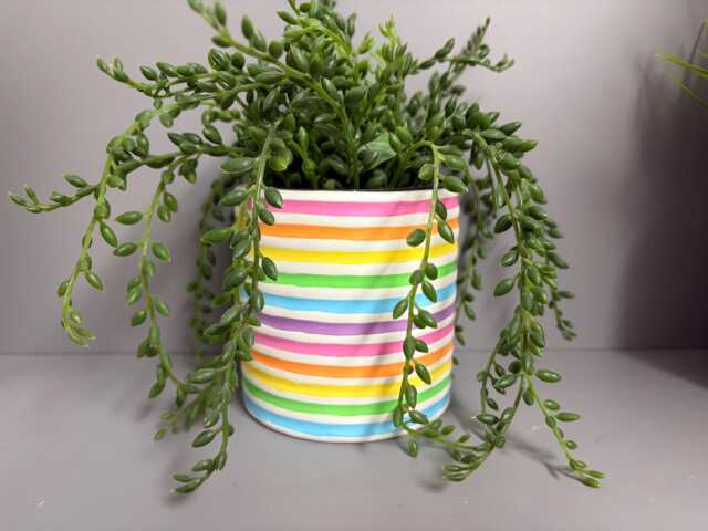 Hand Painted Ceramic Plant Pot, Rainbow Stripe Design. Spring Vibes Plant Pot - image 1