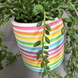 Hand Painted Ceramic Plant Pot, Rainbow Stripe Design. Spring Vibes Plant Pot - thumbnail 2