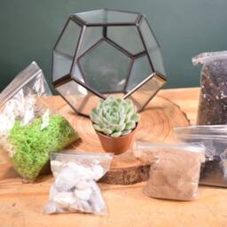Glass Terrarium Kit With Succulent - Black Lantern Plant Gift Housewarming Diy Office Decor Lover - thumbnail 2