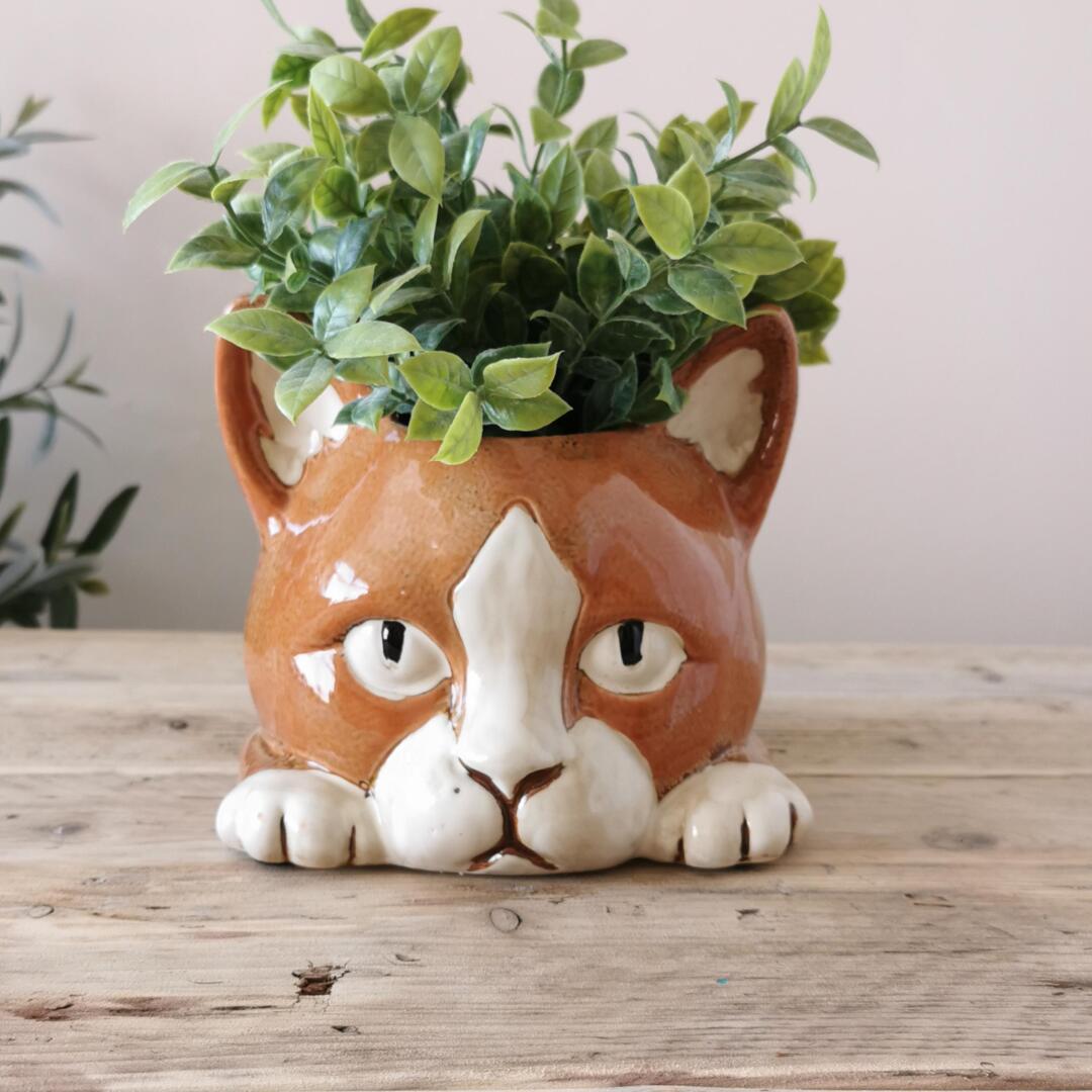 self watering system for indoor plants Optimara MiniGarden Geometric Self-Watering System (4.25" Shallow Pot-   Optiflora