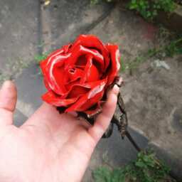 Red Rose, Hand Forged Metal Steel Rose, Iron Anniversary, Iron Rose 6Th Anniversary Gift, Sixth Geschmiedete Rose - thumbnail 3