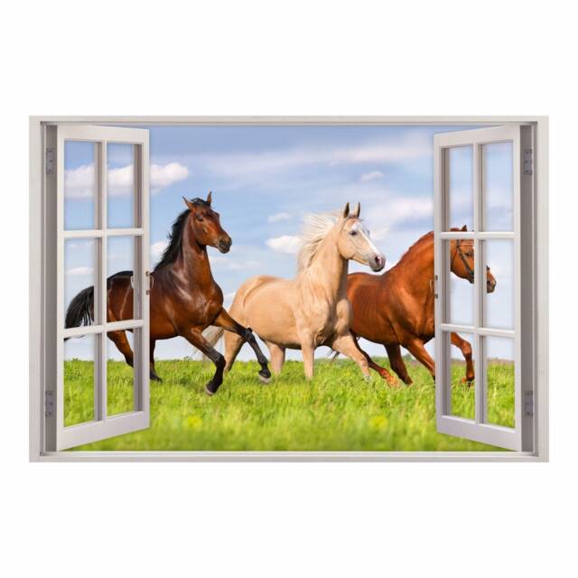 157 Wall Decal Window - Horses On Meadow in 5 Sizes Children's Room Wall Decoration Girl Riding Mural - image 1