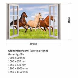 157 Wall Decal Window - Horses On Meadow in 5 Sizes Children's Room Wall Decoration Girl Riding Mural - thumbnail 2