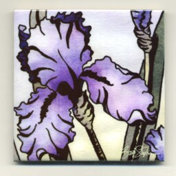 Ceramic Tile, Purplie Iris Coaster, Flower Art Print Best Selling Item On 4 Or 6 Inch Gloss Tile With Optional Easel - thumbnail 3