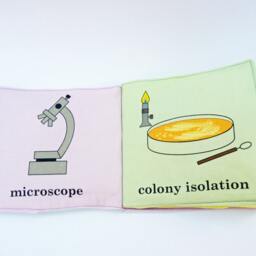 Viruses For Babies - Microbiology Cloth Book - thumbnail 3