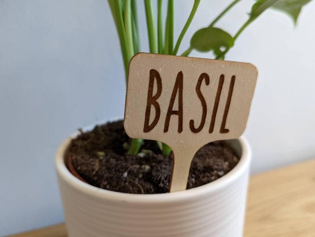 5 Or 10 Personalized Plant Marker Garden Laser Engraved Into Wood, Herb Labels, Wood Plant Markers - image 1