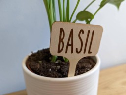 5 Or 10 Personalized Plant Marker Garden Laser Engraved Into Wood, Herb Labels, Wood Plant Markers - thumbnail 1