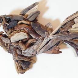 Handmade Driftwood Wall Art - Quirky Fish By Lyme Bay Art - thumbnail 3