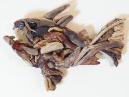 Handmade Driftwood Wall Art - Quirky Fish By Lyme Bay Art - thumbnail 1