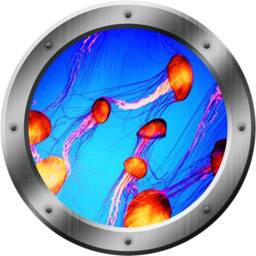 Jellyfish Wall Decal 3D Window Porthole Underwater Ocean View Mural - Vwaq Po19 - thumbnail 2
