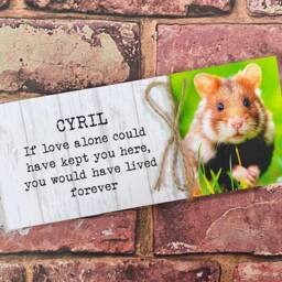 Hamster Memorial Gift, Gerbil Memorial, Mouse Pet Frame, Plaque, Photo Dog Picture Frame - thumbnail 2