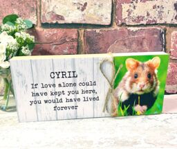 Hamster Memorial Gift, Gerbil Memorial, Mouse Pet Frame, Plaque, Photo Dog Picture Frame - thumbnail 1
