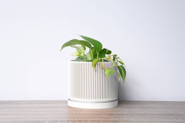 "Mid-Century Modern Planter With Drainage & Saucer in White, Unique 3D-Printed Plant Pot, Sizes 4"" 5"" 6"" 7"" 8" - image 1