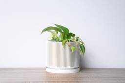 "Mid-Century Modern Planter With Drainage & Saucer in White, Unique 3D-Printed Plant Pot, Sizes 4"" 5"" 6"" 7"" 8" - thumbnail 1