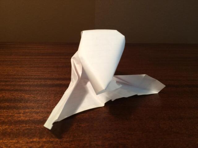 Notebook Paper Albino Loon