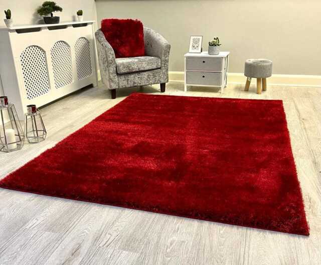 New Plush Red Thick Silky Soft Shag Pile Rug Modern Luxurious High Quality Mats