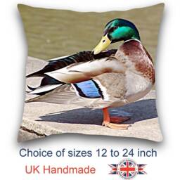 Duck Cushion, Pillow, Animal Art Cushion - thumbnail 1