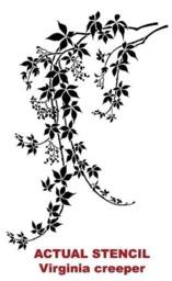Wall Stencil Virginia Creeper Lg - Diy Decor With Stencils - thumbnail 4
