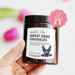 Great Dane Birthday Gift For Her Mum Friends Dog Lovers Walker - Pet Memorial Candle Sympathy Bereavement Loss - thumbnail 1