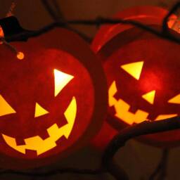 Halloween String Lights - Pumpkin - Various Designs - thumbnail 3