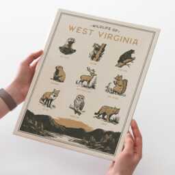 West Virginia Wildlife Wall Art Print - Vintage Animal Poster Design, Archival Quality Matte Fine Art Print. Outdoor, State Gift - thumbnail 1