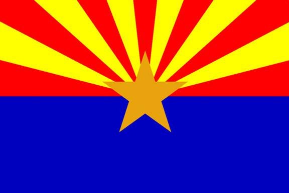 state Flag Pillows - image 1