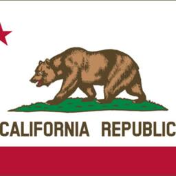 state Flag Pillows - thumbnail 3