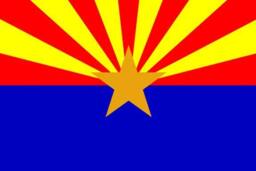 state Flag Pillows - thumbnail 1